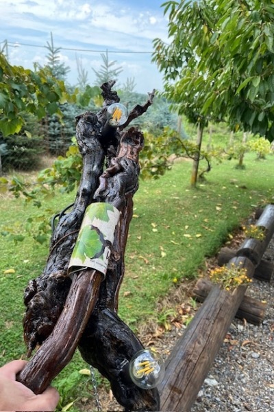 Wine light unikatni pokloni