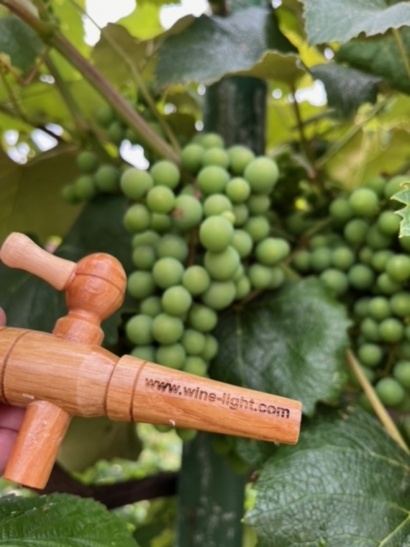 Wine light - One Cijena Akcija